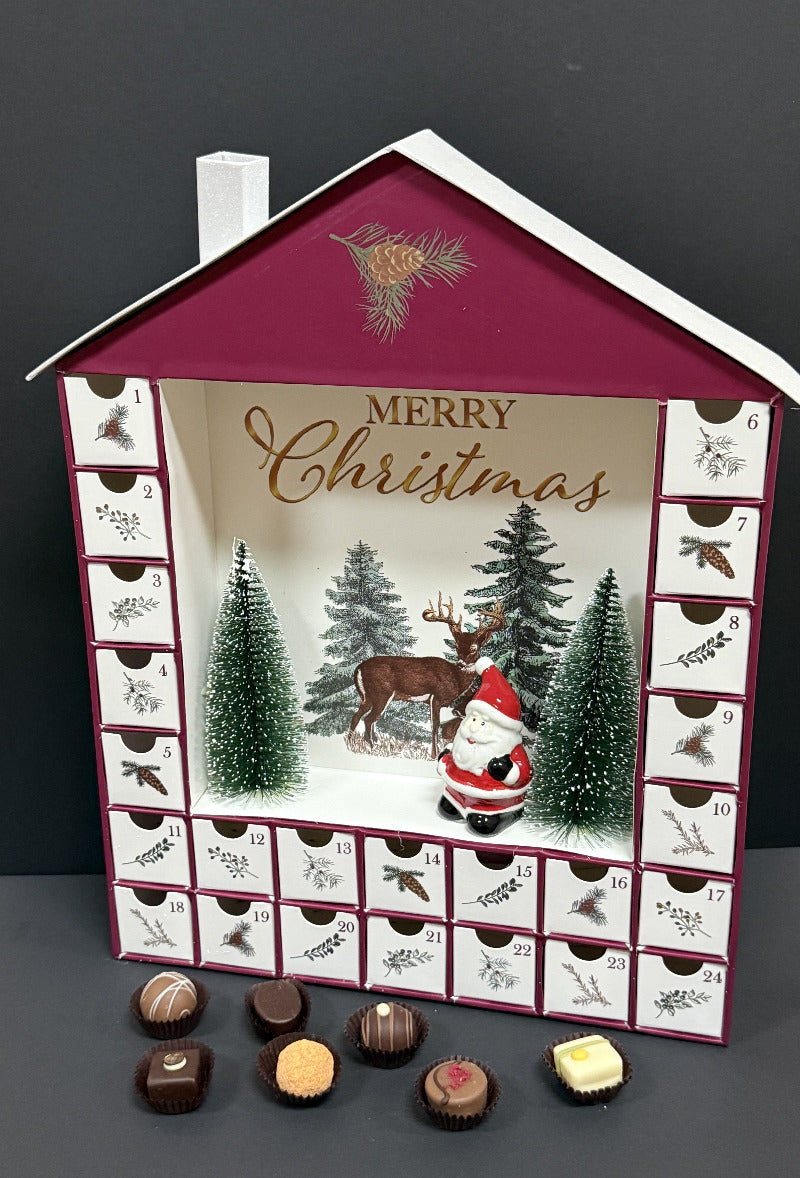 
                  
                    Adventskalender mit 24 Pralinen gefüllt
                  
                
